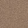 Coral Dunes Plush Carpet