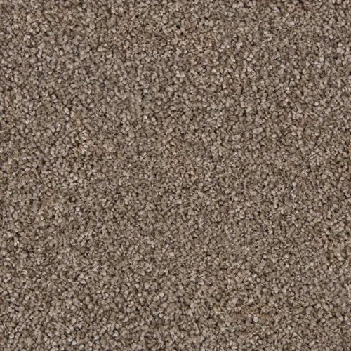 Coral Dunes Plush Carpet