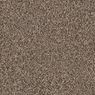 Coral Dunes Plush Carpet
