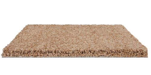 Coral Dunes Plush Carpet