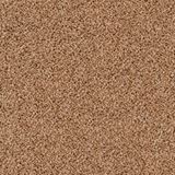 Coral Dunes Khaki Bronze Carpet