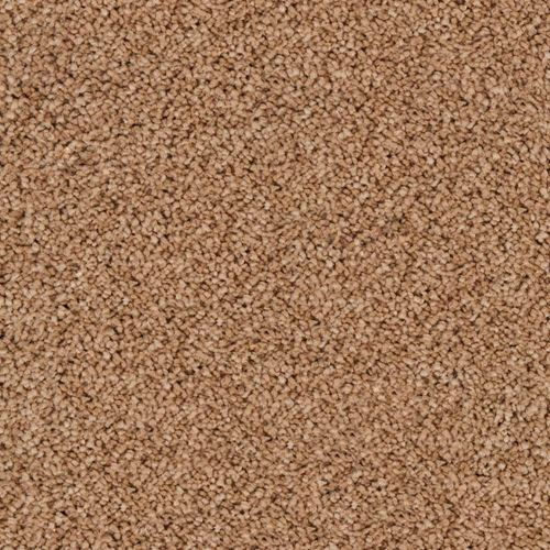 Coral Dunes Plush Carpet