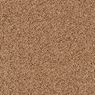 Coral Dunes Plush Carpet