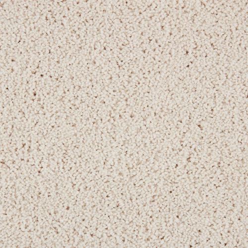 Coral Dunes Plush Carpet
