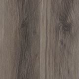Richway Boulevard Eagle Vinyl