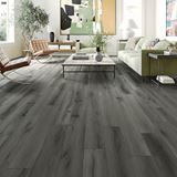 Richway Boulevard Eagle Vinyl