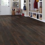 Marshfield Boulevard Laminate