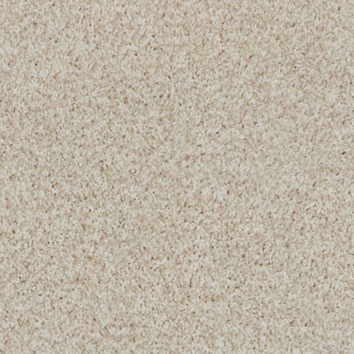 Yarborough Plush Carpet