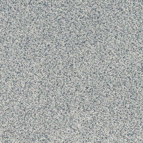 Tranquil Living Plush Carpet