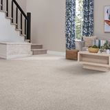 Tranquil Living Rustic Harvest Carpet