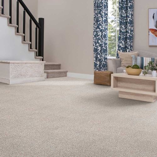 Tranquil Living Plush Carpet