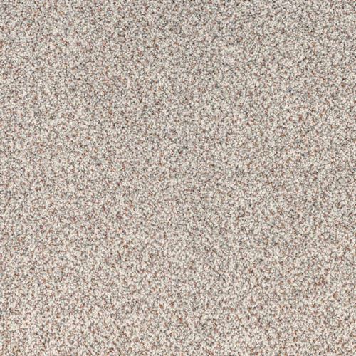 Tranquil Living Plush Carpet
