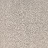Tranquil Living Plush Carpet