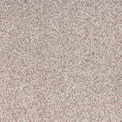 Tranquil Living Plush Carpet