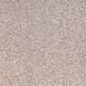 Tranquil Living Plush Carpet
