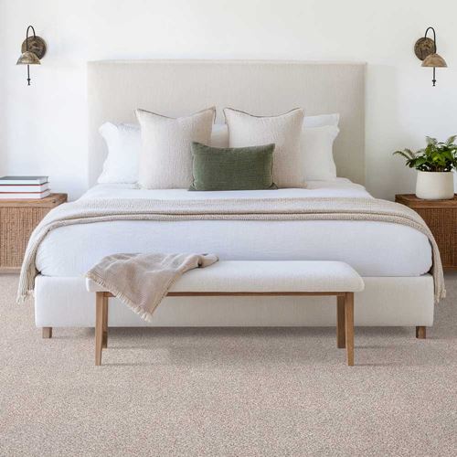 Tranquil Living Plush Carpet