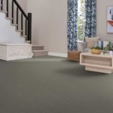 Art Supply Aged Sand Carpet