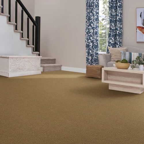 Art Supply Commercial Carpet And Carpet Tile