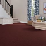 Art Supply Beetroot Carpet