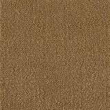 Art Supply Saddle Stone Carpet