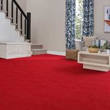 Art Supply Cardinal Carpet