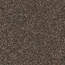 Twilight Tones I Plush Carpet