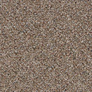 Twilight Tones I Afterglow Beige Plush Carpet Product Swatch Image