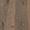 Sapwood Reserve Amber Wood Laminate Product Swatch Image
