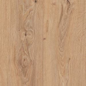 Sapwood Reserve Cambium Beige Wood Laminate Product Swatch Image
