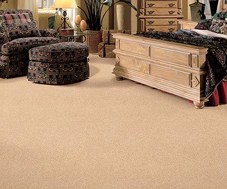 Eden Plush Carpet