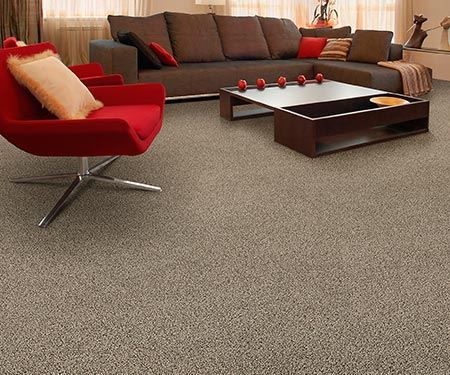 Palmetto Aruba Carpet
