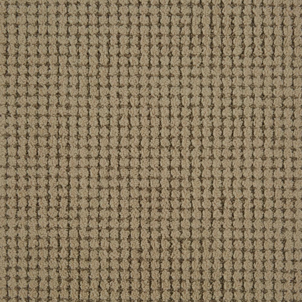 Big Time Pattern Carpet