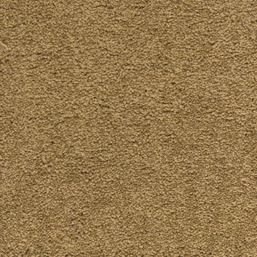 Brentwood Plush Carpet
