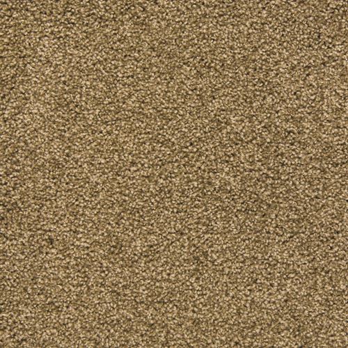Brentwood Plush Carpet