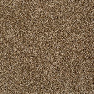 Cool Breeze Aged Tree Brown Plush Carpet Product Swatch Image