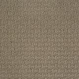 Envision Gray Flannel Carpet