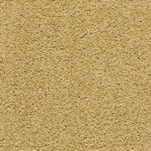 Gilmer Plush Carpet