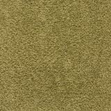 Gilmer Glade Green Carpet