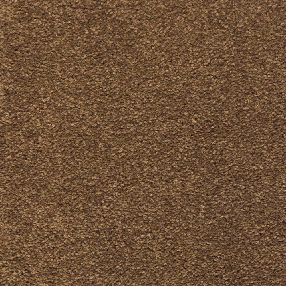 Match Play Amateur Brown Plush Carpet Product Swatch Image