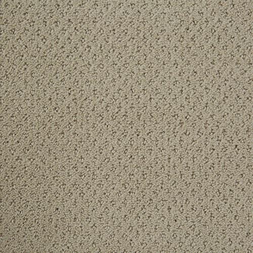 Motivate Pattern Carpet