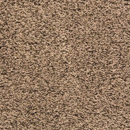 Palmetto Frieze Carpet