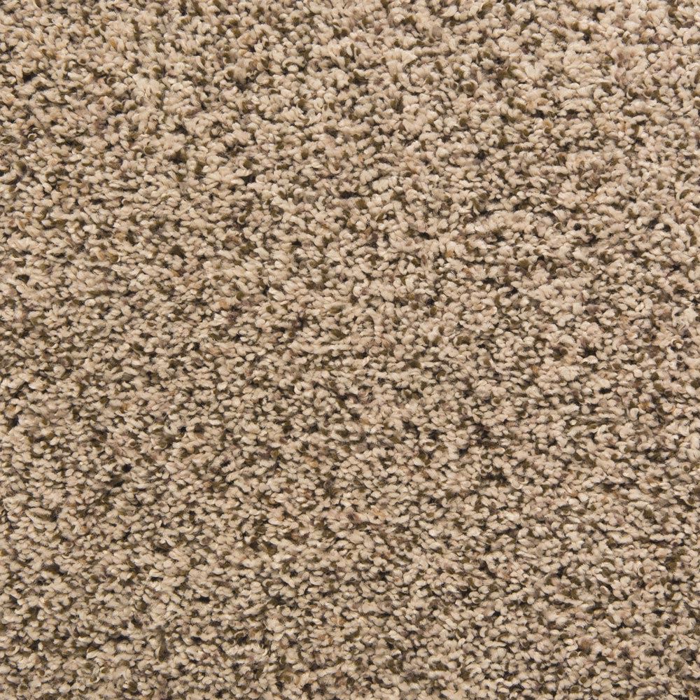 Palmetto Waterbury Carpet