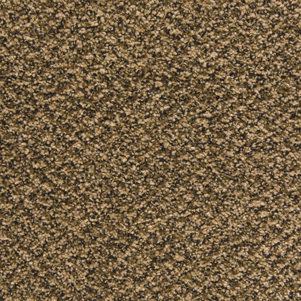 Pavilion Cookies N Cream Frieze Carpet Product Swatch Image