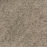 Pendleton Plush Carpet