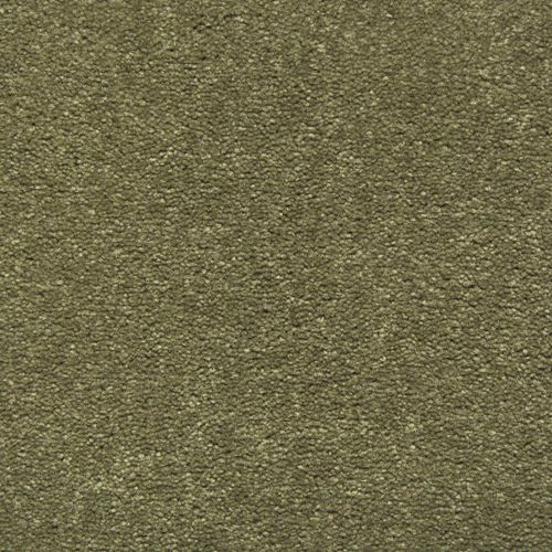 Vernon Plush Carpet