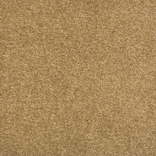 Vernon Plush Carpet