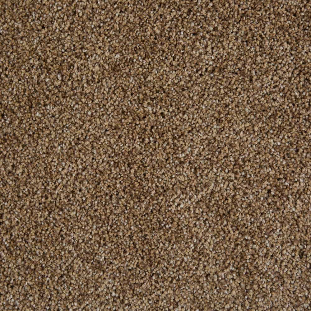 Sunny Isles City Sunrise Brown Frieze Carpet Product Swatch Image
