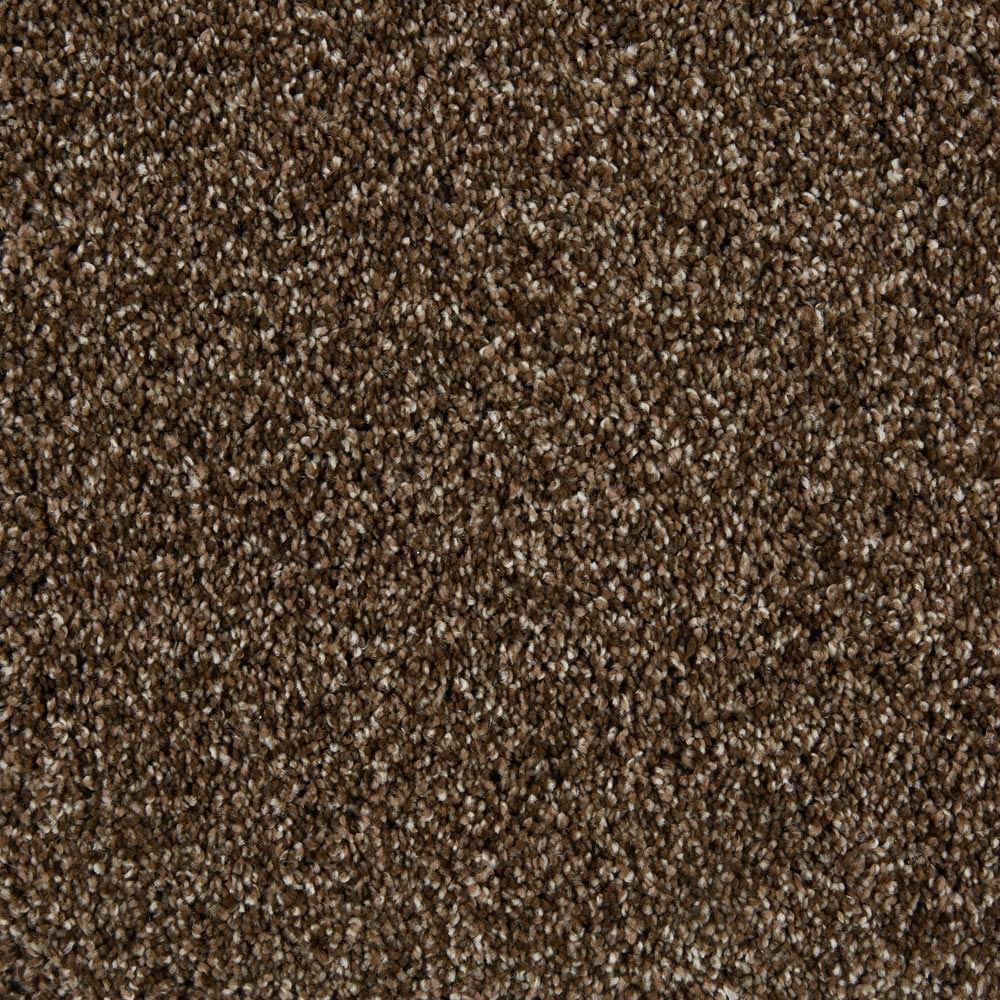 Sunny Isles Clockwork Brown Frieze Carpet Product Swatch Image