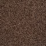 Shimmer Chocolate Pizzazz Carpet