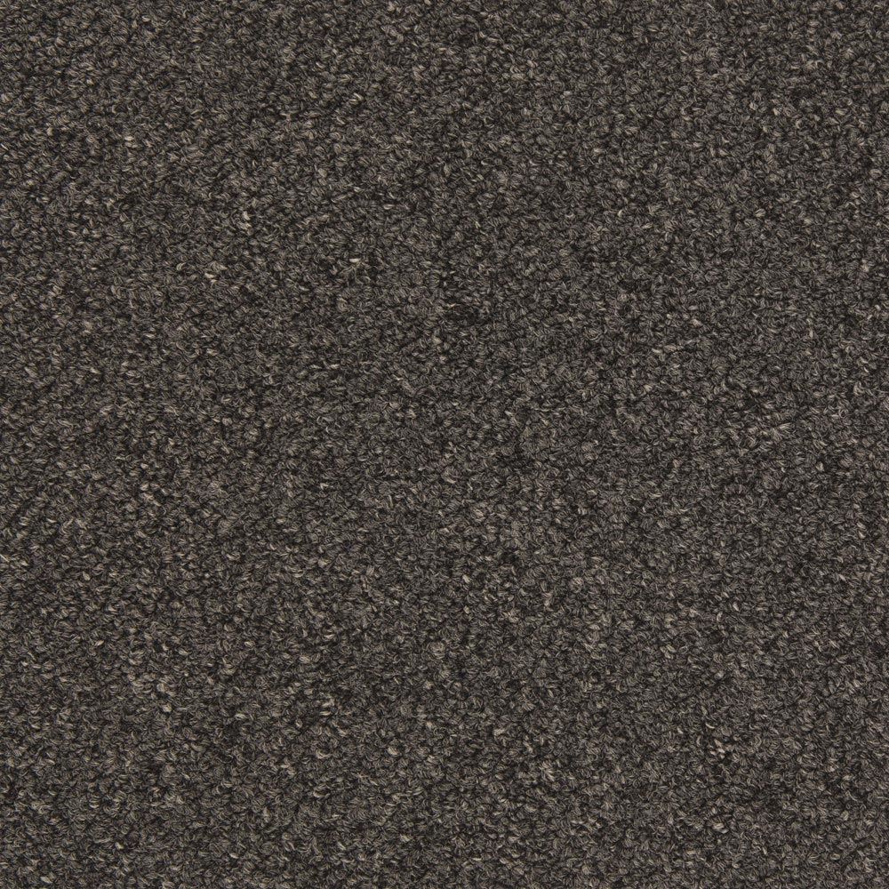 Tenbrooke II Black Sable Carpet
